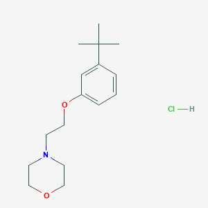 molecular formula C16H26ClNO2 B4400722 4-[2-(3-Tert-butylphenoxy)ethyl]morpholine;hydrochloride 