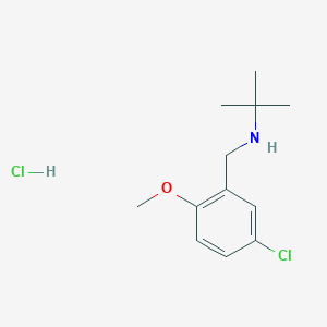 molecular formula C12H19Cl2NO B4407238 N-(5-chloro-2-methoxybenzyl)-2-methyl-2-propanamine hydrochloride 