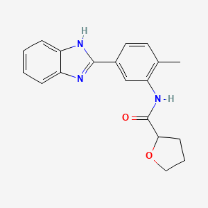 N-[5-(1H-benzimidazol-2-yl)-2-methylphenyl]tetrahydrofuran-2-carboxamide