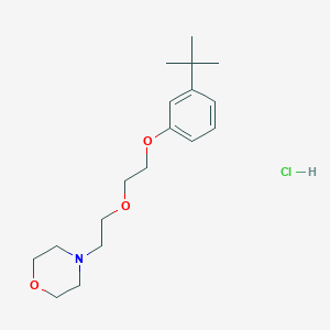 4-[2-[2-(3-Tert-butylphenoxy)ethoxy]ethyl]morpholine;hydrochloride