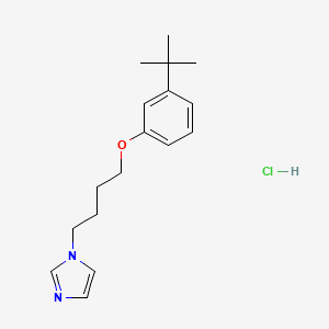 molecular formula C17H25ClN2O B4410219 1-[4-(3-tert-butylphenoxy)butyl]-1H-imidazole hydrochloride 