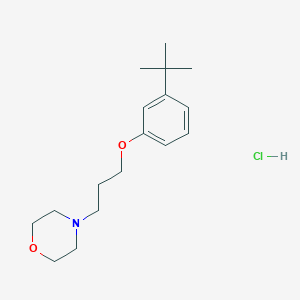 molecular formula C17H28ClNO2 B4410530 4-[3-(3-tert-butylphenoxy)propyl]morpholine hydrochloride 