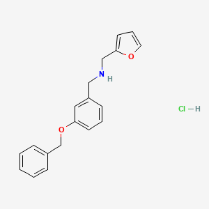 molecular formula C19H20ClNO2 B4410733 [3-(benzyloxy)benzyl](2-furylmethyl)amine hydrochloride 