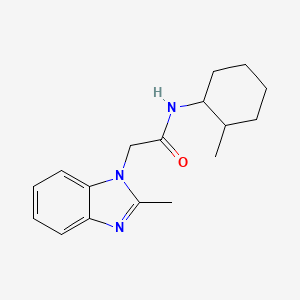 2-(2-methyl-1H-benzimidazol-1-yl)-N-(2-methylcyclohexyl)acetamide