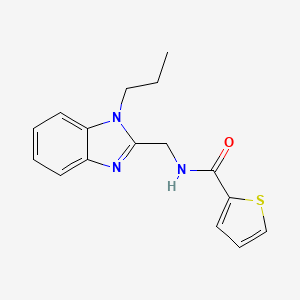 N-[(1-propyl-1H-benzimidazol-2-yl)methyl]-2-thiophenecarboxamide