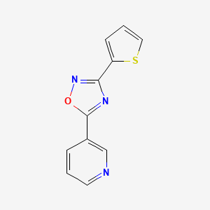 3-[3-(2-thienyl)-1,2,4-oxadiazol-5-yl]pyridine