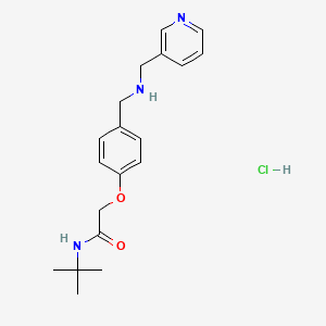 N-(tert-butyl)-2-(4-{[(3-pyridinylmethyl)amino]methyl}phenoxy)acetamide hydrochloride