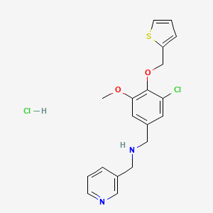 molecular formula C19H20Cl2N2O2S B4416813 [3-chloro-5-methoxy-4-(2-thienylmethoxy)benzyl](3-pyridinylmethyl)amine hydrochloride 