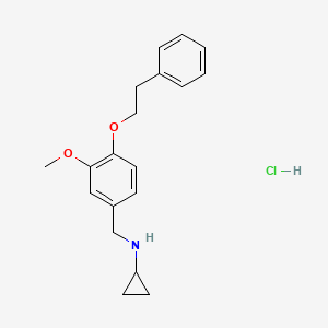 molecular formula C19H24ClNO2 B4419750 N-[3-methoxy-4-(2-phenylethoxy)benzyl]cyclopropanamine hydrochloride 