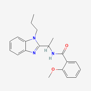 molecular formula C20H23N3O2 B4419764 2-METHOXY-N-[1-(1-PROPYL-1H-1,3-BENZODIAZOL-2-YL)ETHYL]BENZAMIDE 