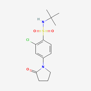 N-TERT-BUTYL-2-CHLORO-4-(2-OXOPYRROLIDIN-1-YL)BENZENE-1-SULFONAMIDE