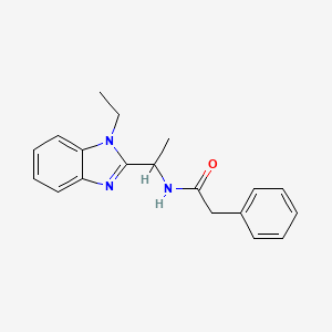 molecular formula C19H21N3O B4420321 N-[1-(1-ethyl-1H-1,3-benzodiazol-2-yl)ethyl]-2-phenylacetamide 