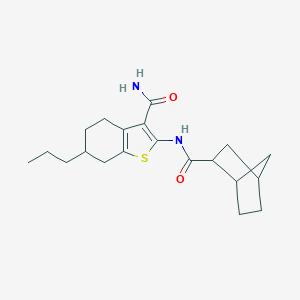 molecular formula C20H28N2O2S B442443 2-[(Bicyclo[2.2.1]hept-2-ylcarbonyl)amino]-6-propyl-4,5,6,7-tetrahydro-1-benzothiophene-3-carboxamide 