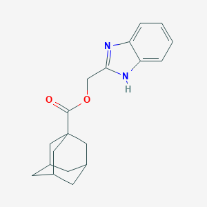 molecular formula C19H22N2O2 B442455 1H-benzimidazol-2-ylmethyl 1-adamantanecarboxylate 