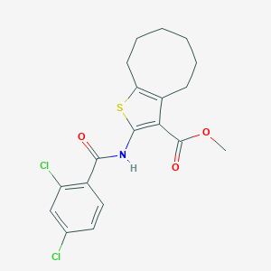 molecular formula C19H19Cl2NO3S B442502 Methyl 2-[(2,4-dichlorobenzoyl)amino]-4,5,6,7,8,9-hexahydrocycloocta[b]thiophene-3-carboxylate 