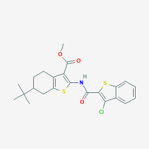 molecular formula C23H24ClNO3S2 B442611 Methyl 6-(tert-butyl)-2-{[(3-chloro-1-benzothiophen-2-yl)carbonyl]amino}-4,5,6,7-tetrahydro-1-benzothiophene-3-carboxylate 