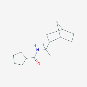 molecular formula C15H25NO B442681 N-(1-Bicyclo[2.2.1]hept-2-ylethyl)cyclopentanecarboxamide 