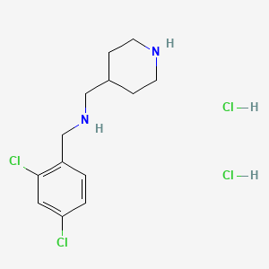 molecular formula C13H20Cl4N2 B4427161 (2,4-dichlorobenzyl)(4-piperidinylmethyl)amine dihydrochloride 