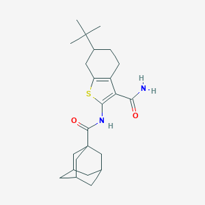 molecular formula C24H34N2O2S B442769 2-[(1-Adamantylcarbonyl)amino]-6-tert-butyl-4,5,6,7-tetrahydro-1-benzothiophene-3-carboxamide 
