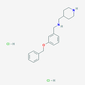 molecular formula C20H28Cl2N2O B4427960 [3-(benzyloxy)benzyl](4-piperidinylmethyl)amine dihydrochloride 