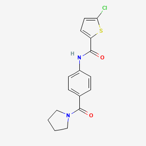 5-chloro-N-[4-(1-pyrrolidinylcarbonyl)phenyl]-2-thiophenecarboxamide