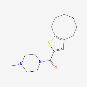 molecular formula C16H24N2OS B4430557 1-(4,5,6,7,8,9-hexahydrocycloocta[b]thien-2-ylcarbonyl)-4-methylpiperazine 