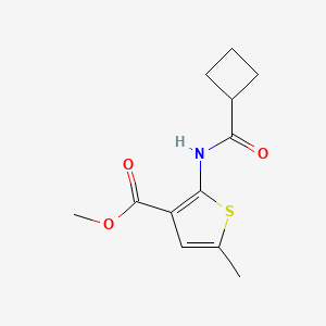 methyl 2-[(cyclobutylcarbonyl)amino]-5-methyl-3-thiophenecarboxylate