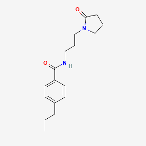 molecular formula C17H24N2O2 B4432271 N-[3-(2-oxo-1-pyrrolidinyl)propyl]-4-propylbenzamide 