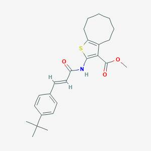 molecular formula C25H31NO3S B443243 Methyl 2-{[3-(4-tert-butylphenyl)acryloyl]amino}-4,5,6,7,8,9-hexahydrocycloocta[b]thiophene-3-carboxylate 