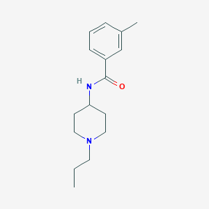 molecular formula C16H24N2O B4433364 3-methyl-N-(1-propyl-4-piperidinyl)benzamide 