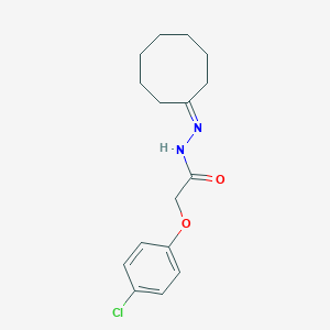 molecular formula C16H21ClN2O2 B443364 2-(4-chlorophenoxy)-N'-cyclooctylideneacetohydrazide 