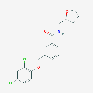 molecular formula C19H19Cl2NO3 B443516 3-[(2,4-dichlorophenoxy)methyl]-N-(tetrahydro-2-furanylmethyl)benzamide 