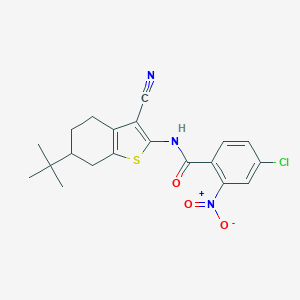 molecular formula C20H20ClN3O3S B443616 N-(6-tert-butyl-3-cyano-4,5,6,7-tetrahydro-1-benzothiophen-2-yl)-4-chloro-2-nitrobenzamide 