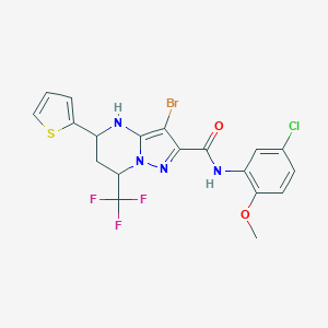 molecular formula C19H15BrClF3N4O2S B443658 3-bromo-N-(5-chloro-2-methoxyphenyl)-5-(2-thienyl)-7-(trifluoromethyl)-4,5,6,7-tetrahydropyrazolo[1,5-a]pyrimidine-2-carboxamide 