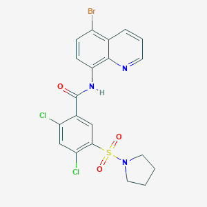molecular formula C20H16BrCl2N3O3S B443871 N-(5-bromo-8-quinolinyl)-2,4-dichloro-5-(1-pyrrolidinylsulfonyl)benzamide 