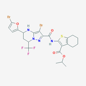 molecular formula C24H23Br2F3N4O4S B443885 Isopropyl 2-({[3-bromo-5-(5-bromo-2-furyl)-7-(trifluoromethyl)-4,5,6,7-tetrahydropyrazolo[1,5-a]pyrimidin-2-yl]carbonyl}amino)-4,5,6,7-tetrahydro-1-benzothiophene-3-carboxylate 