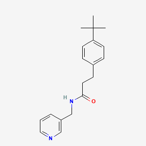 molecular formula C19H24N2O B4439214 3-(4-tert-butylphenyl)-N-(3-pyridinylmethyl)propanamide 