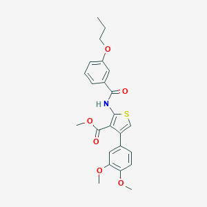 molecular formula C24H25NO6S B444161 Methyl 4-(3,4-dimethoxyphenyl)-2-[(3-propoxybenzoyl)amino]thiophene-3-carboxylate 
