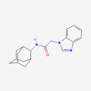 molecular formula C19H23N3O B4441994 N-2-adamantyl-2-(1H-benzimidazol-1-yl)acetamide 