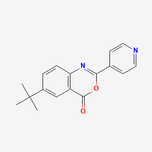 6-tert-butyl-2-(4-pyridinyl)-4H-3,1-benzoxazin-4-one