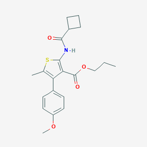 molecular formula C21H25NO4S B444480 Propyl 2-[(cyclobutylcarbonyl)amino]-4-(4-methoxyphenyl)-5-methyl-3-thiophenecarboxylate 