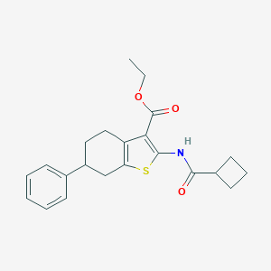 molecular formula C22H25NO3S B444564 Ethyl 2-[(cyclobutylcarbonyl)amino]-6-phenyl-4,5,6,7-tetrahydro-1-benzothiophene-3-carboxylate 