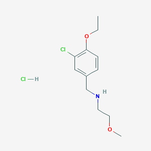 molecular formula C12H19Cl2NO2 B4445785 N-(3-chloro-4-ethoxybenzyl)-2-methoxyethanamine hydrochloride 