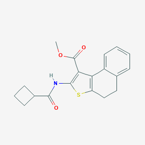 molecular formula C19H19NO3S B444655 Methyl 2-[(cyclobutylcarbonyl)amino]-4,5-dihydronaphtho[2,1-b]thiophene-1-carboxylate 