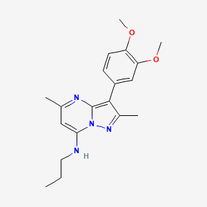 molecular formula C19H24N4O2 B4446777 3-(3,4-dimethoxyphenyl)-2,5-dimethyl-N-propylpyrazolo[1,5-a]pyrimidin-7-amine 