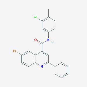 6-bromo-N-(3-chloro-4-methylphenyl)-2-phenylquinoline-4-carboxamide
