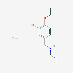 molecular formula C12H19BrClNO B4448510 N-(3-bromo-4-ethoxybenzyl)propan-1-amine hydrochloride 