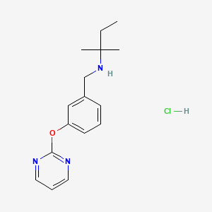 (1,1-dimethylpropyl)[3-(2-pyrimidinyloxy)benzyl]amine hydrochloride