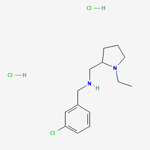 molecular formula C14H23Cl3N2 B4449641 (3-chlorobenzyl)[(1-ethyl-2-pyrrolidinyl)methyl]amine dihydrochloride 