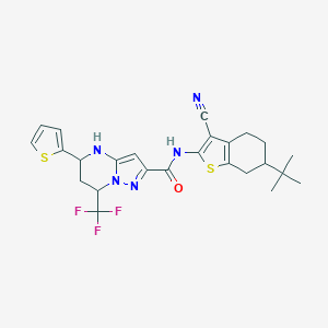 molecular formula C25H26F3N5OS2 B445002 N-(6-tert-butyl-3-cyano-4,5,6,7-tetrahydro-1-benzothien-2-yl)-5-(2-thienyl)-7-(trifluoromethyl)-4,5,6,7-tetrahydropyrazolo[1,5-a]pyrimidine-2-carboxamide 